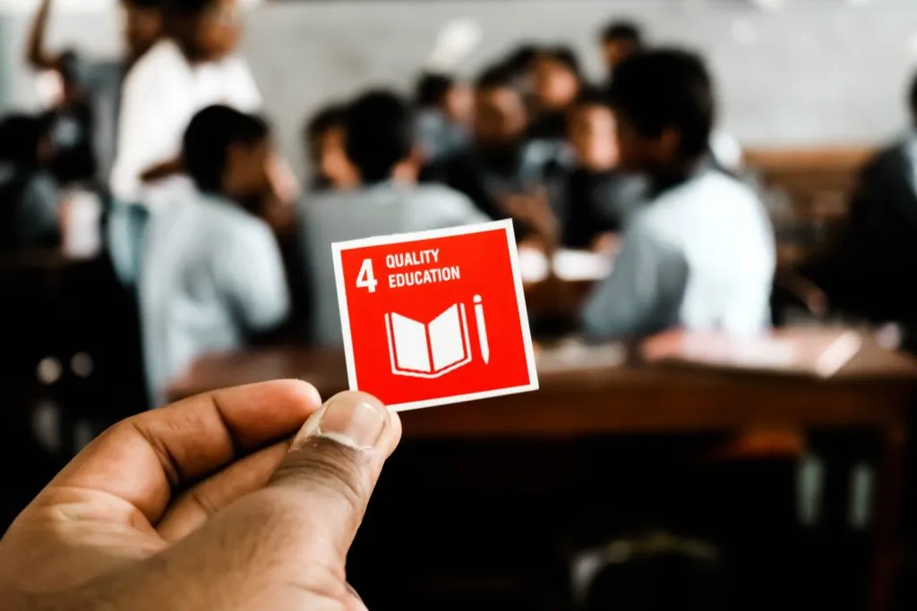 The Birth of the Sustainable Development Goals for a Better Future